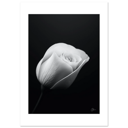 cc5862c8-7513-4e4b-80a0-c956ed80618e