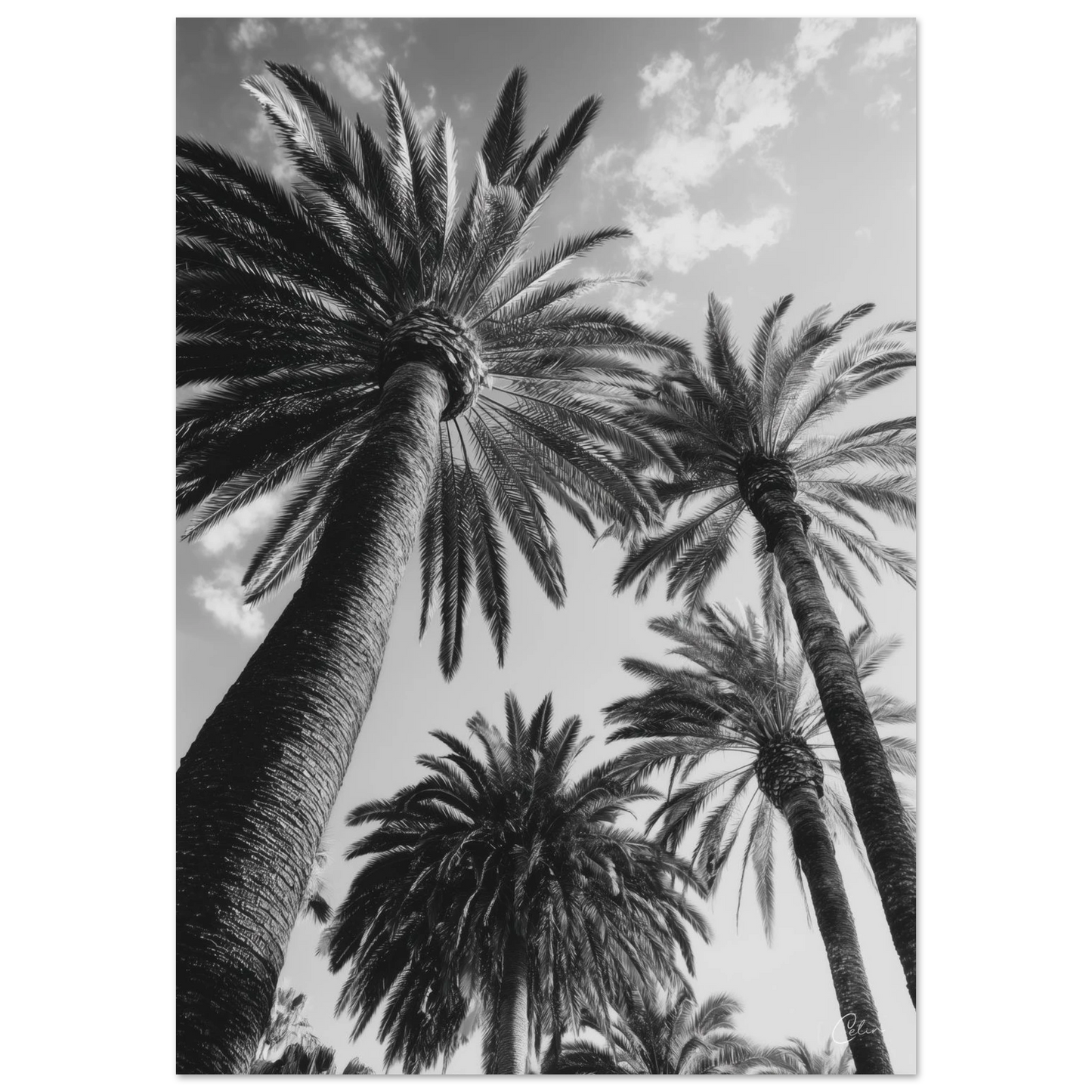 ce7977b8-1569-409a-8306-be2477f510d4