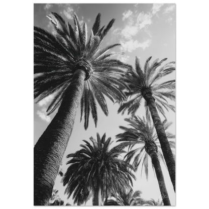 ce7977b8-1569-409a-8306-be2477f510d4