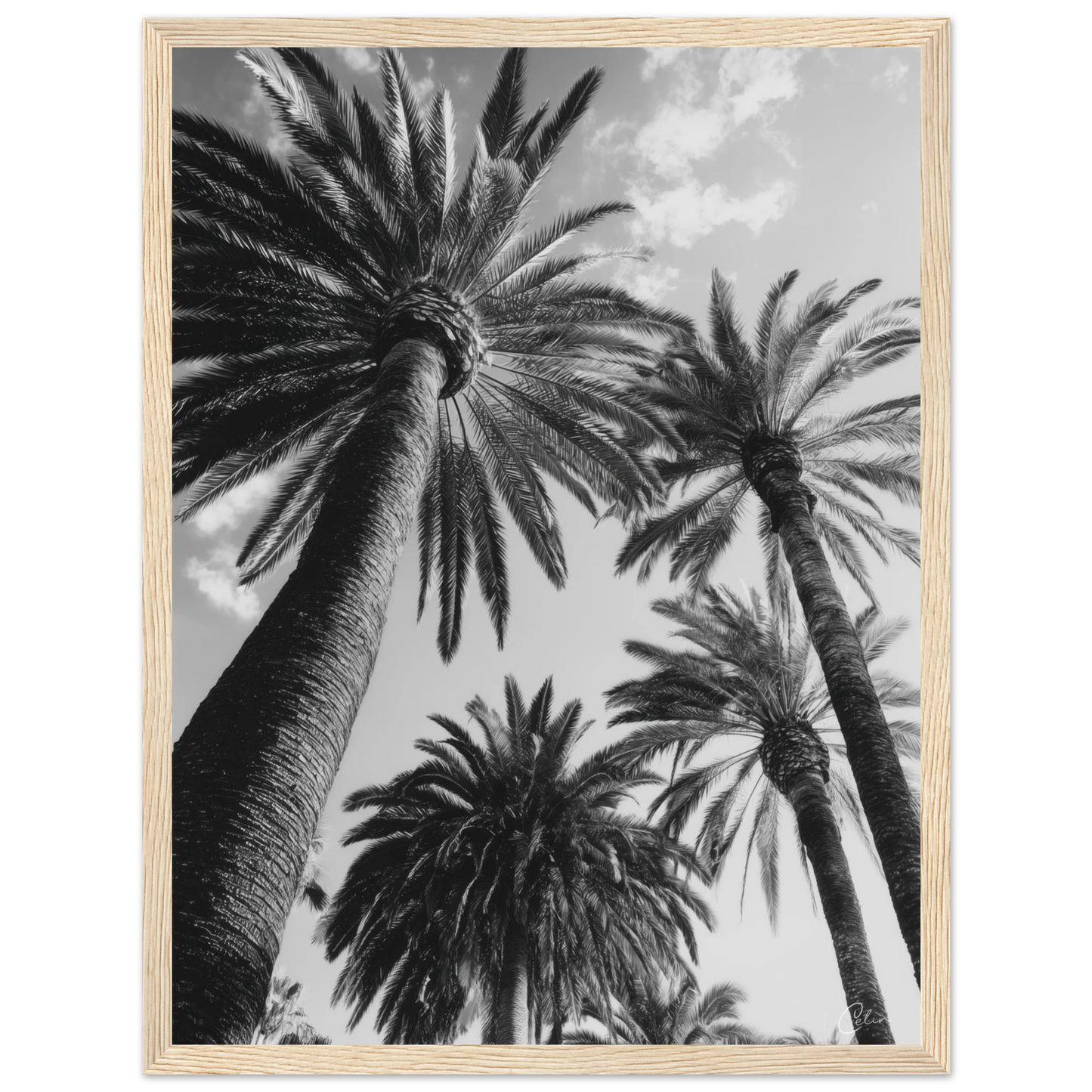 cf839caa-8fd8-405b-9347-ad030850d647