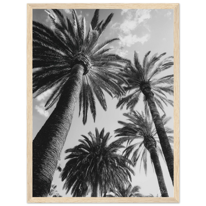 cf839caa-8fd8-405b-9347-ad030850d647