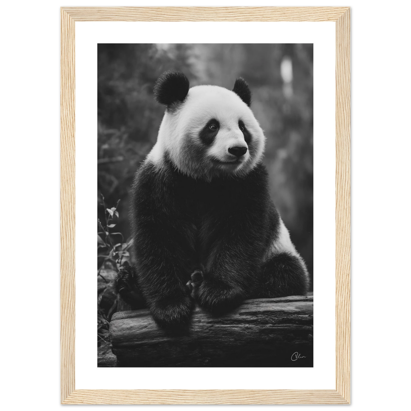 cffd6762-3b0f-4595-9b15-88bce5e1dc5b
