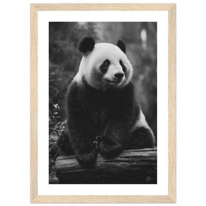 cffd6762-3b0f-4595-9b15-88bce5e1dc5b