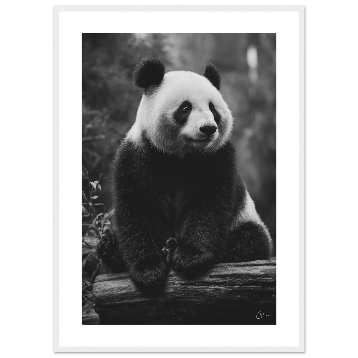 d10d0781-aa78-48fd-a640-ec6ca24d2442