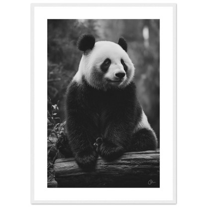 d10d0781-aa78-48fd-a640-ec6ca24d2442