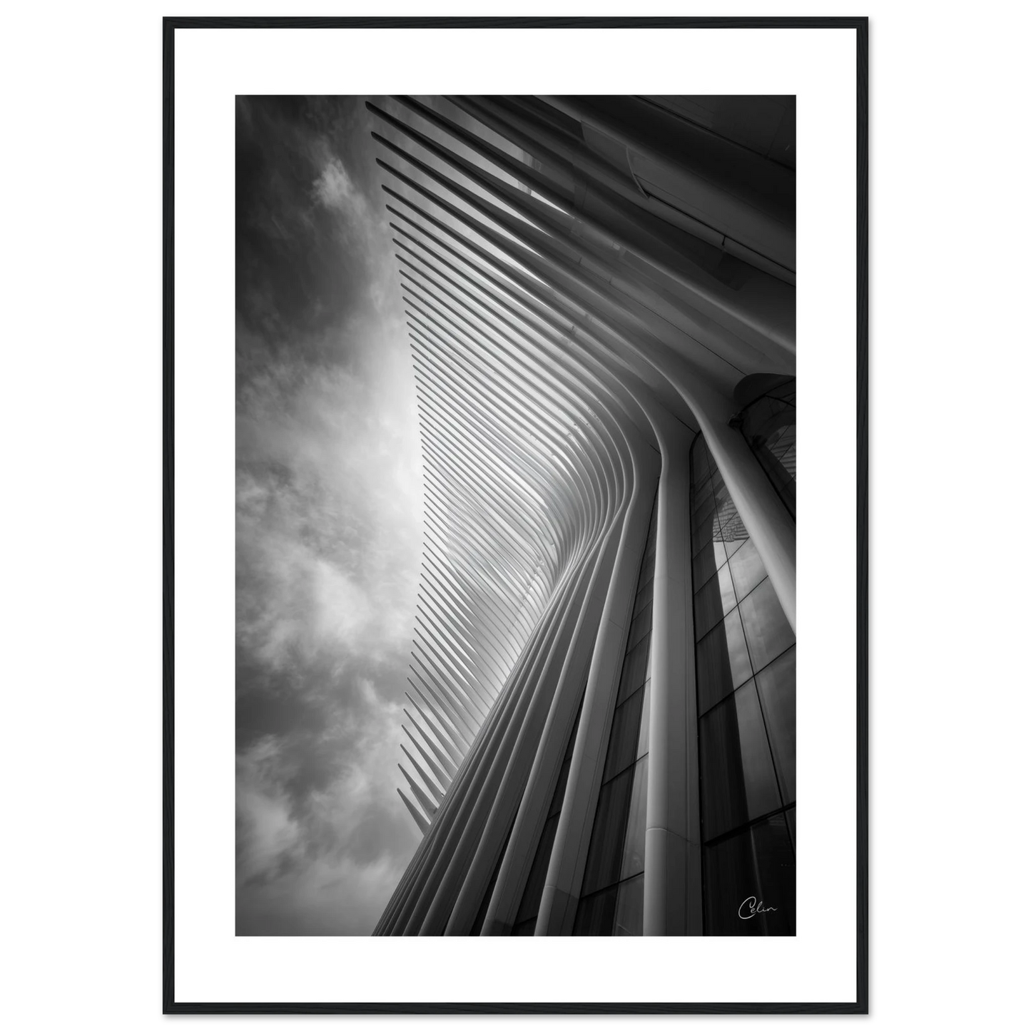 d1c3eefc-d4ce-4362-a6a9-a5198ef5755c
