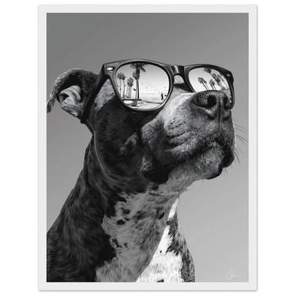 d2a5faaf-af2a-4da0-9afe-e1015b0a5724