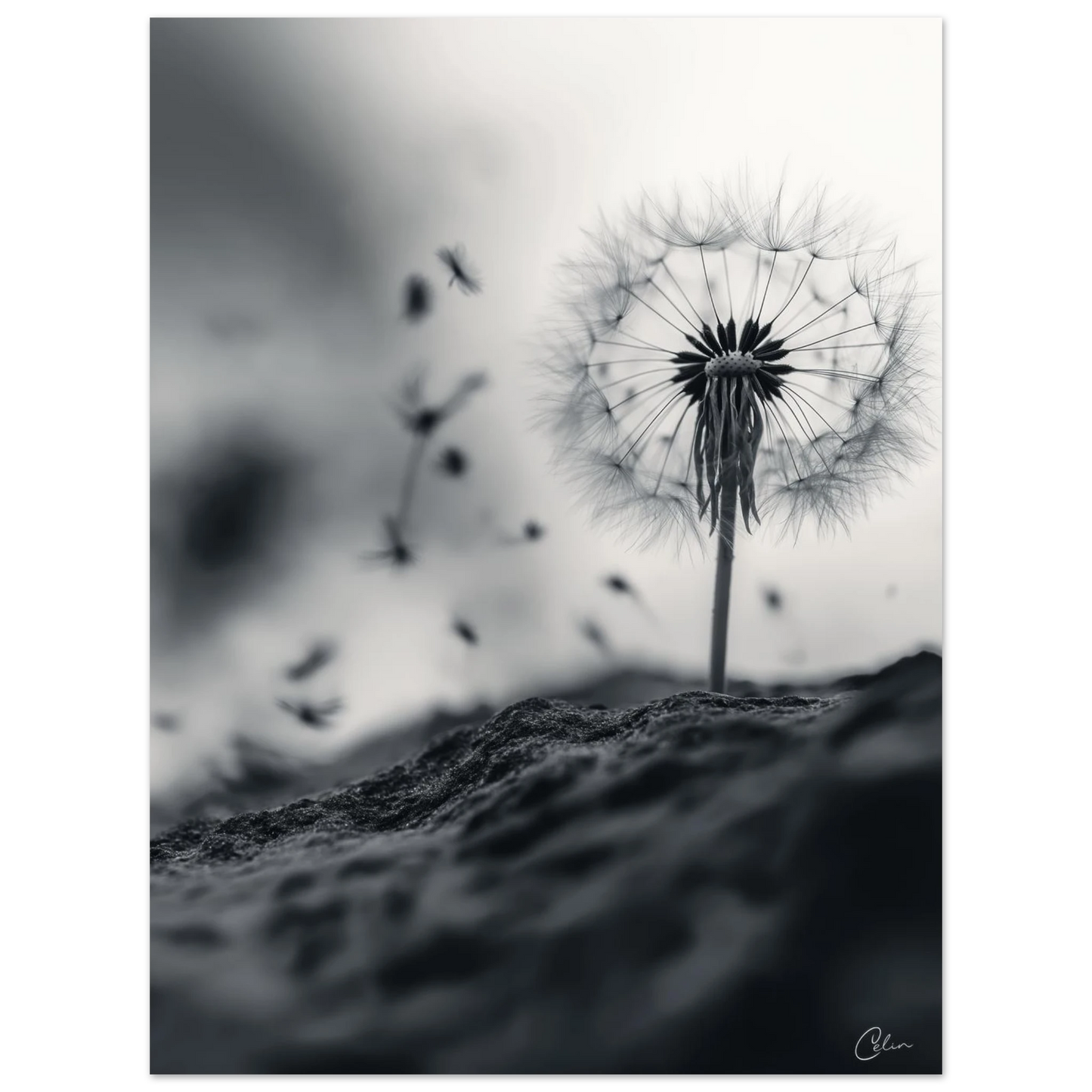 d3667df4-7b5b-4522-9157-e8f6b86d6beb