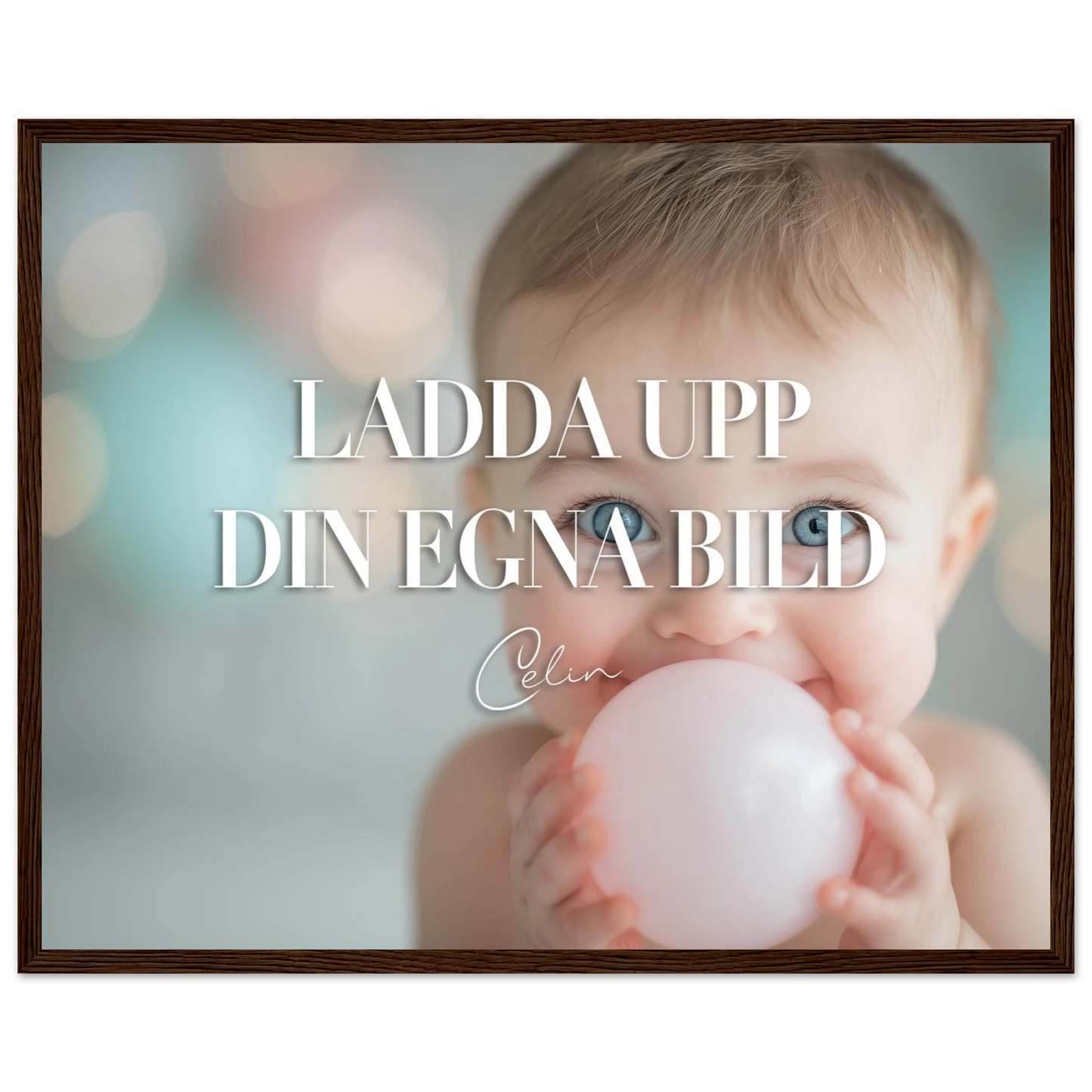 d6177f7c-f84d-4e95-806b-fd8c89da0bfa