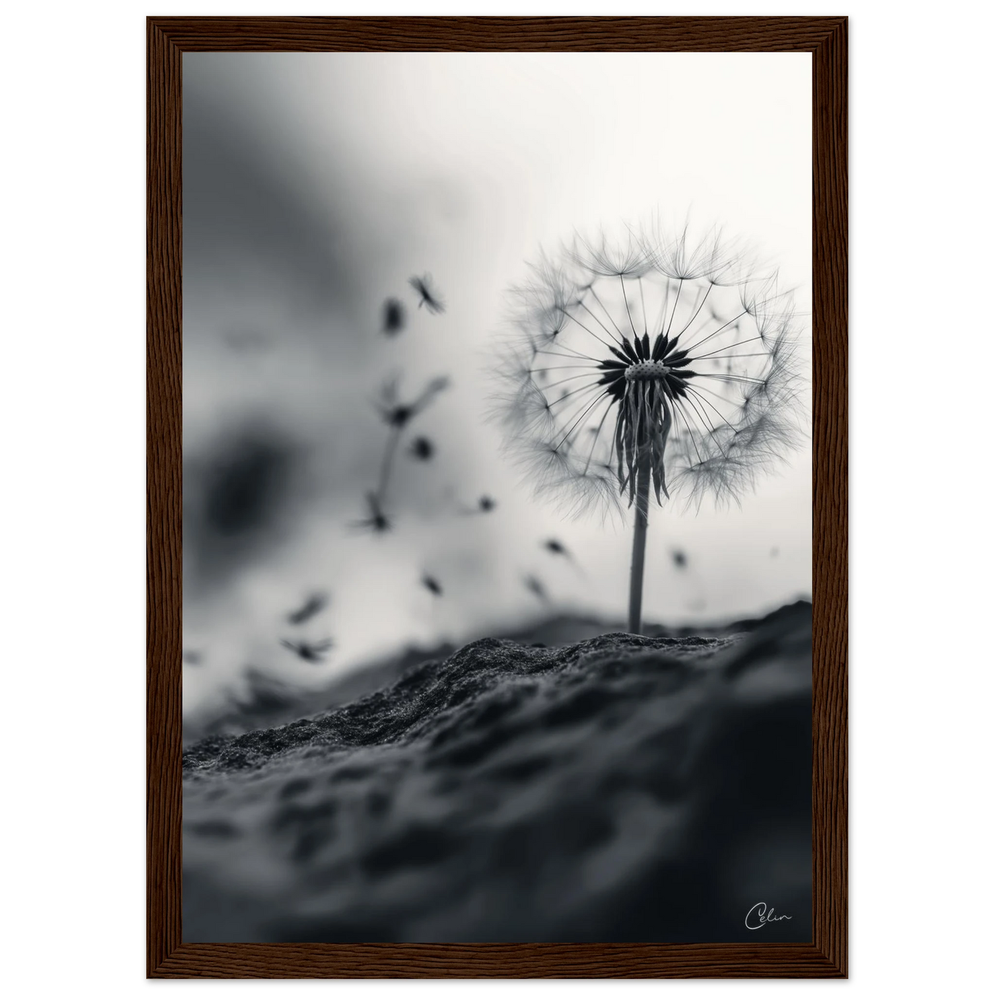 d68175ad-0566-4d65-8e3e-370ebd27cca3