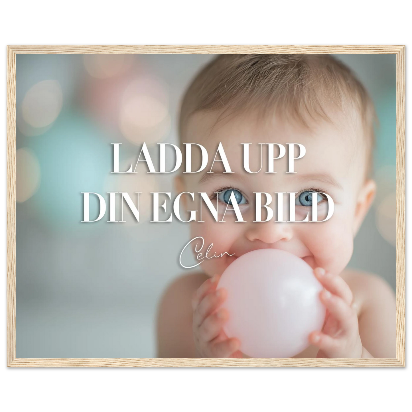 d70101a8-e188-4252-83c2-205c06453269