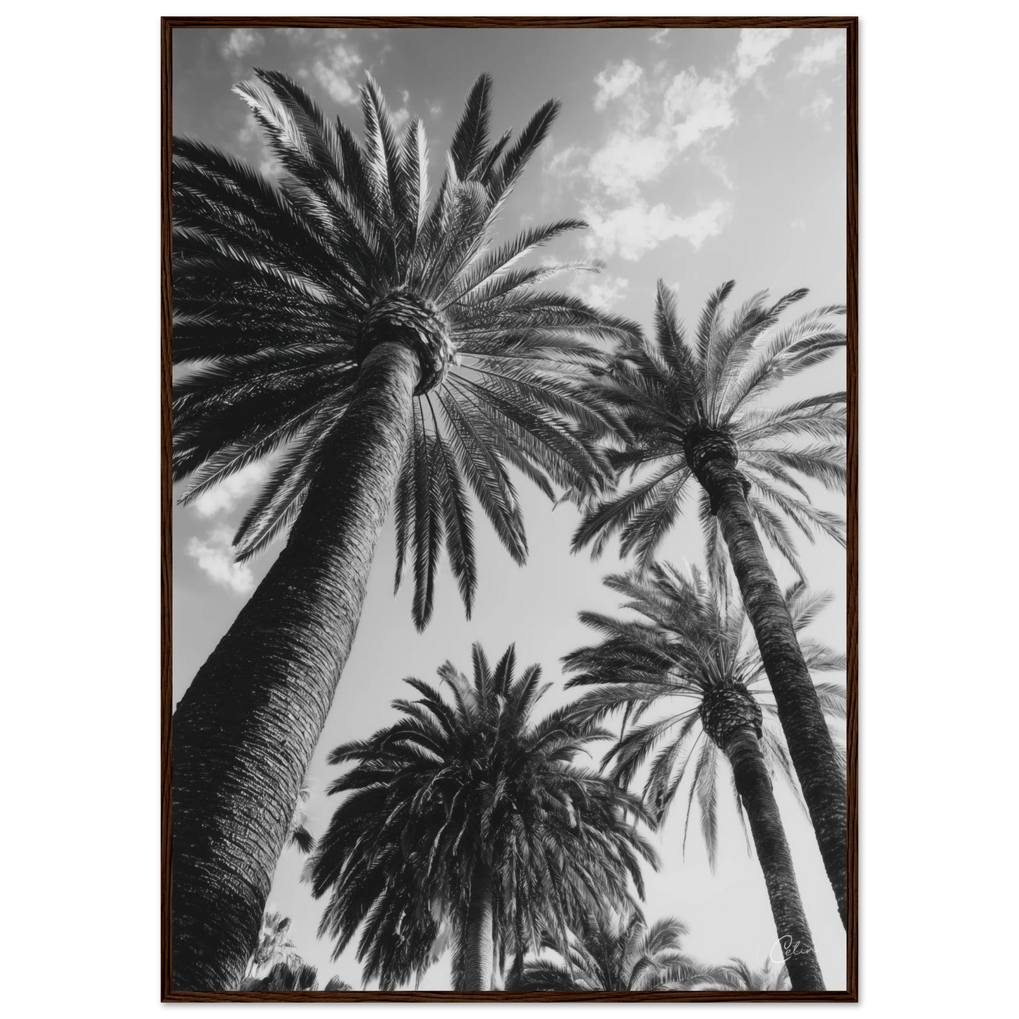 d752265d-7ee2-4c02-a847-a1fe1cbc9bc6