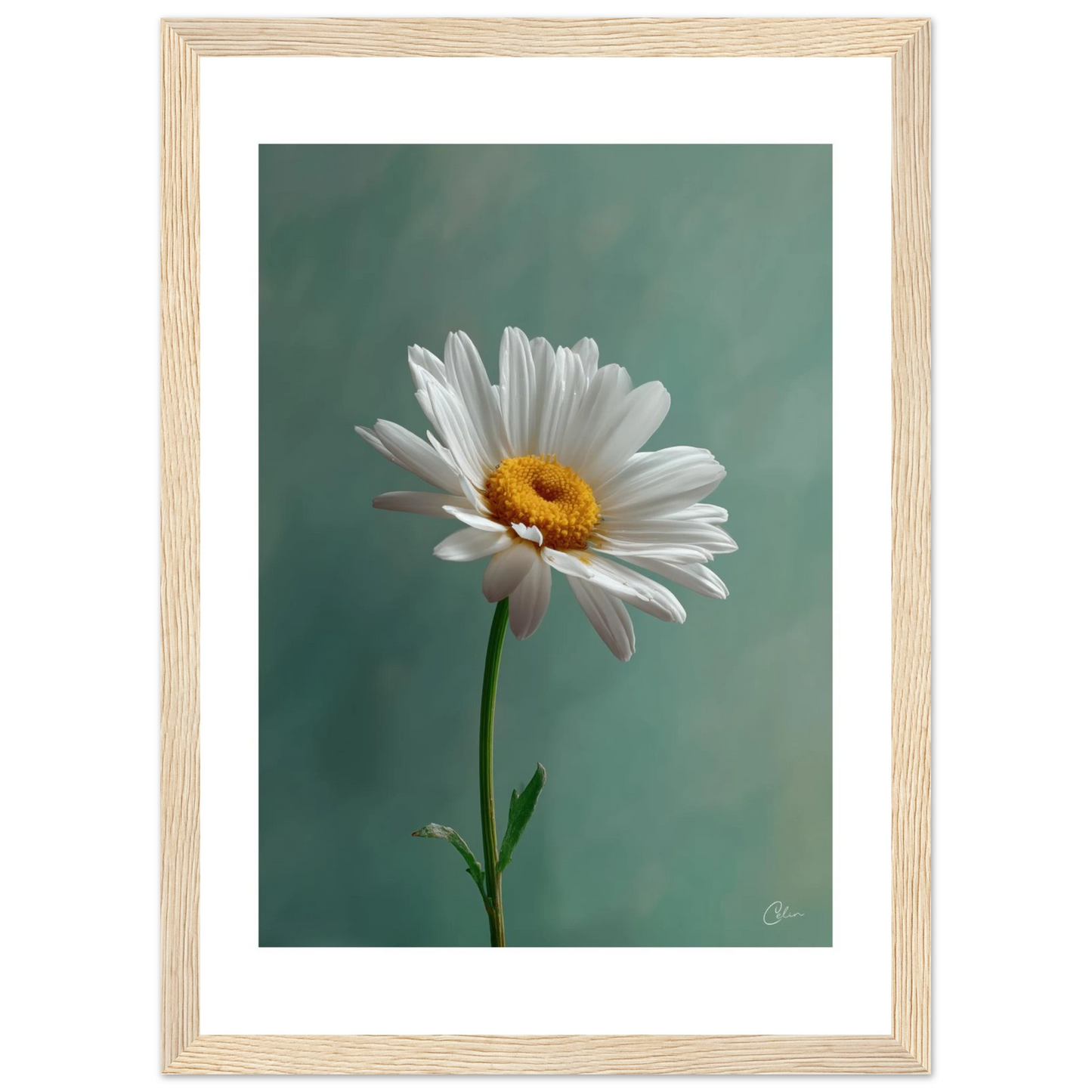 d8fe70e3-ce84-4d40-bb36-963d3fa34575