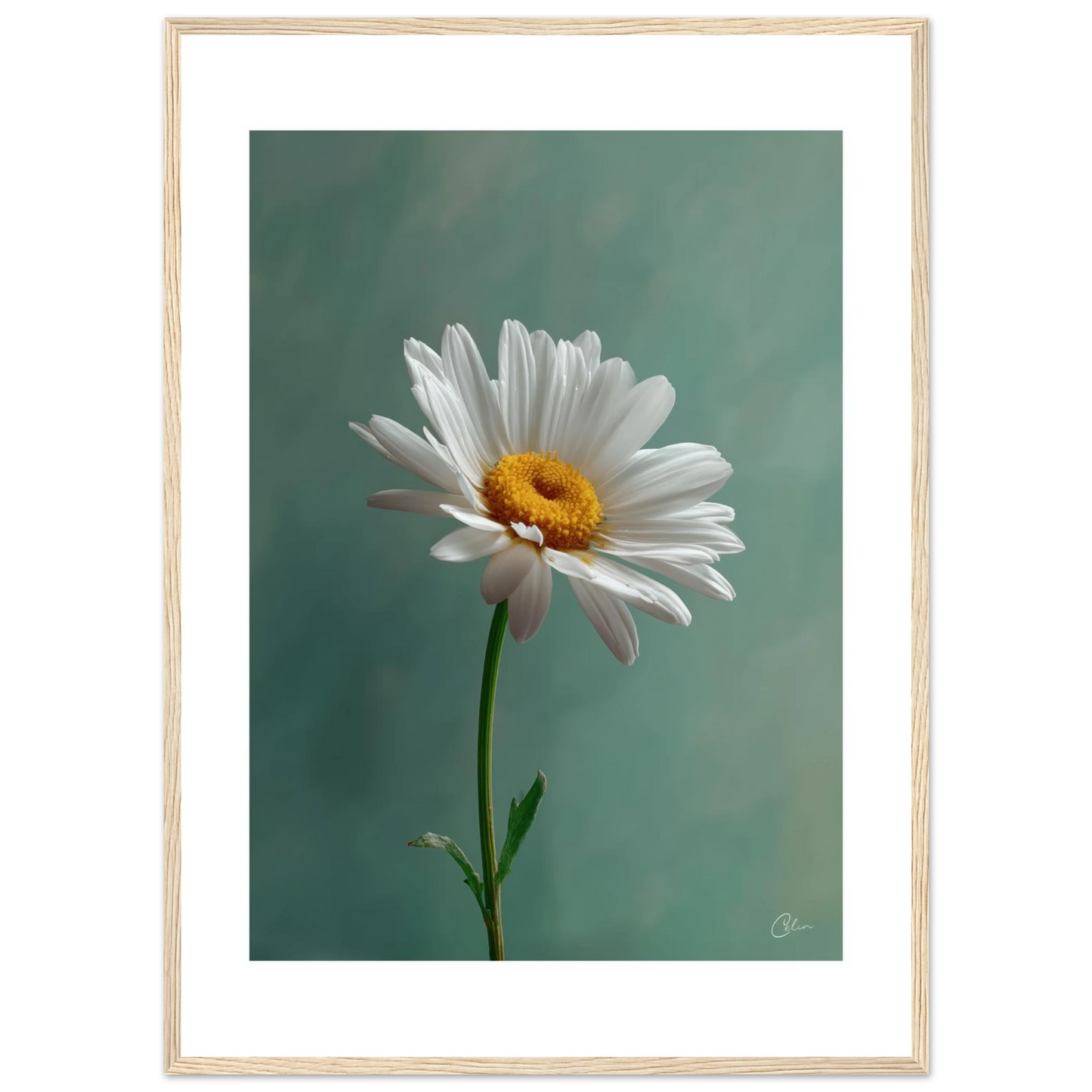 d9b09a9f-d073-4e2c-89b5-10c6e9c28a12