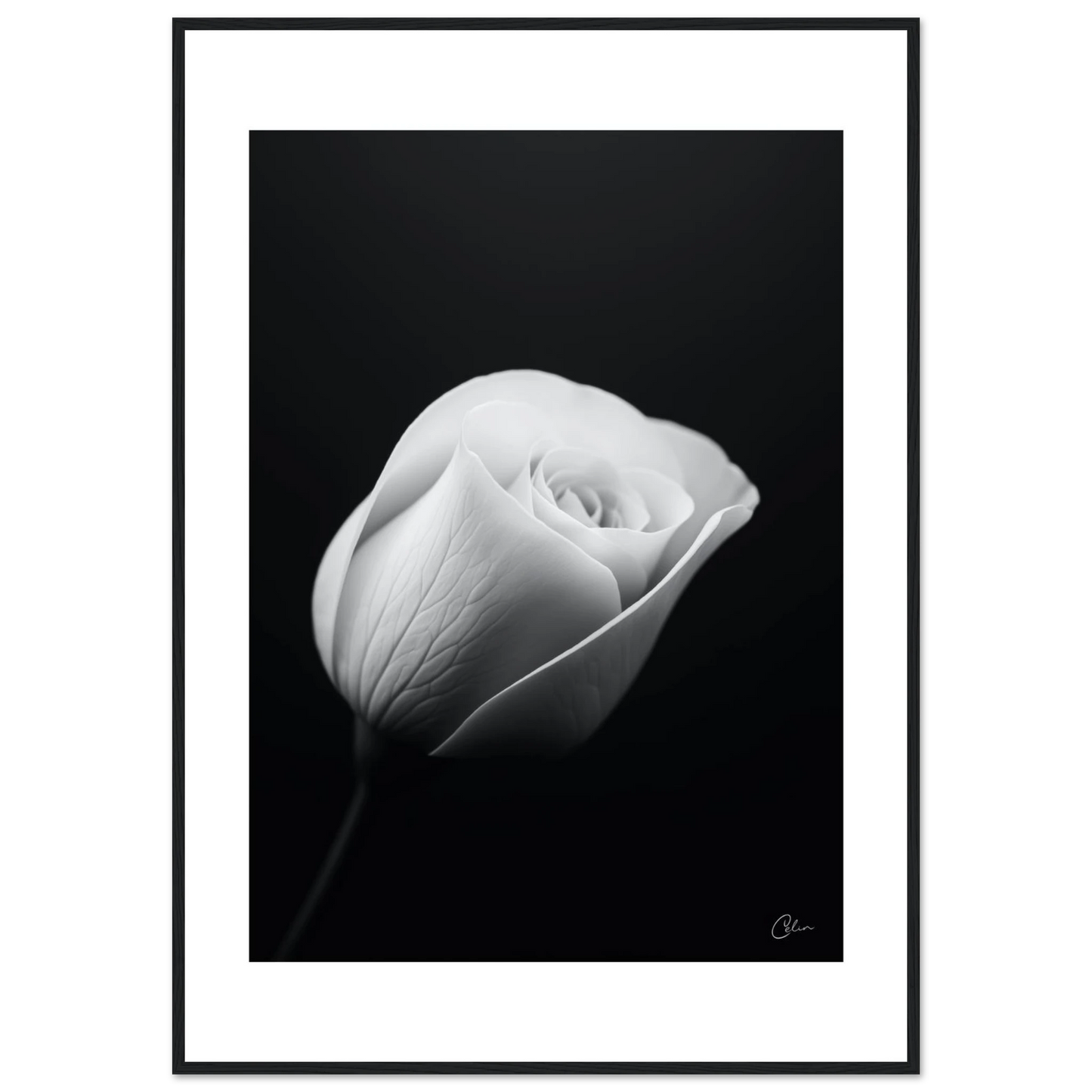 da3587d2-b5bd-44c1-97fb-b691234d38e0