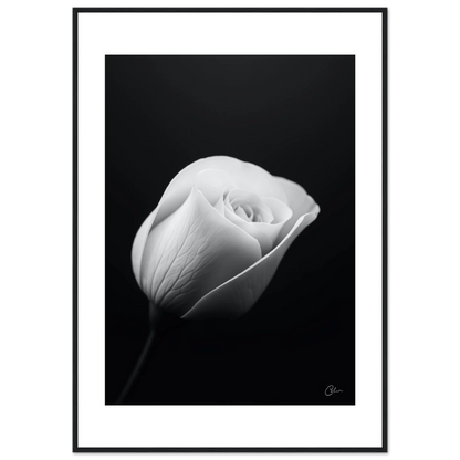 da3587d2-b5bd-44c1-97fb-b691234d38e0