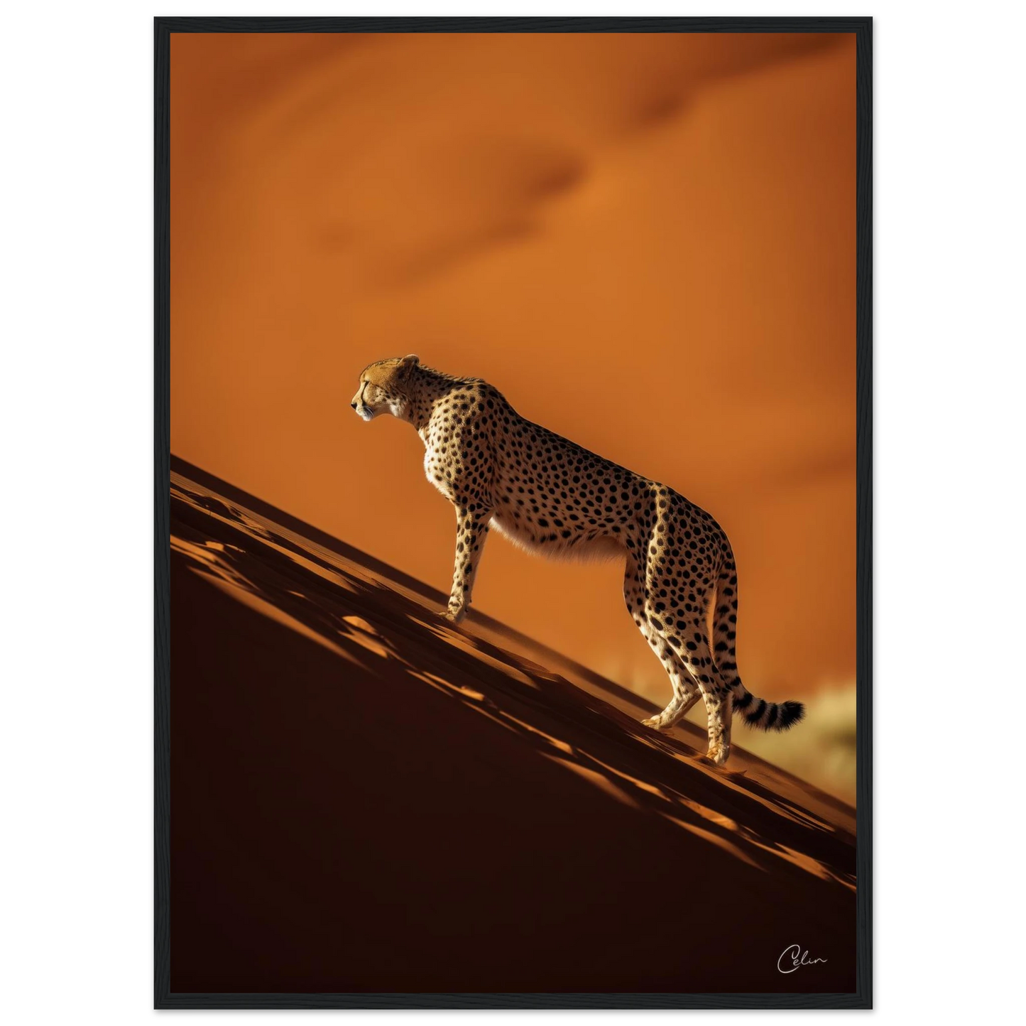 da81cbf4-3761-4843-93e7-4da1bed21499