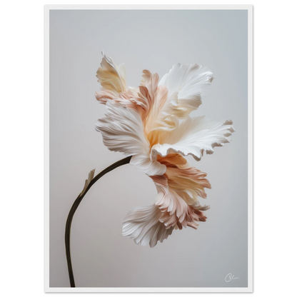 dabbca86-bca9-4f41-8342-4ca46079cc07