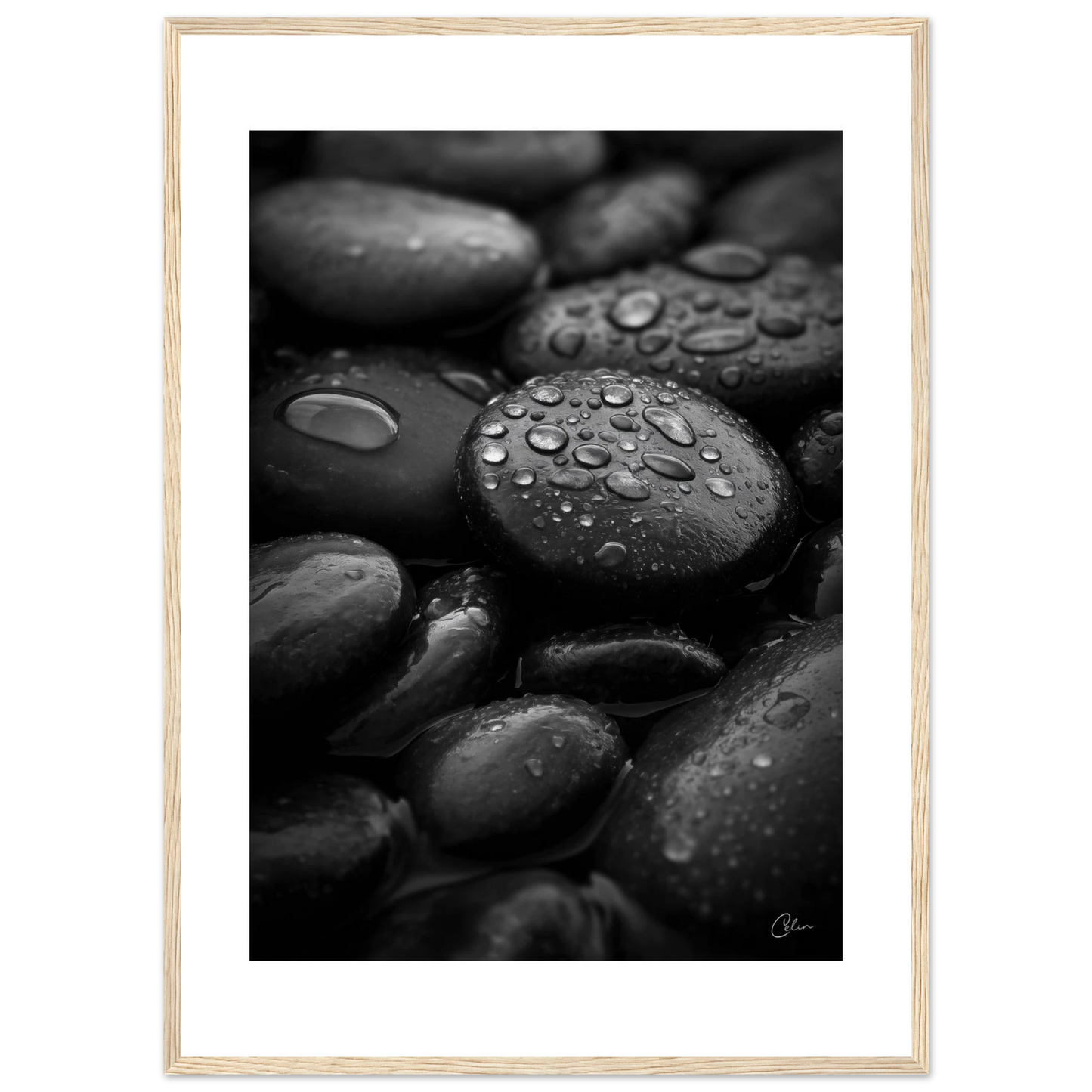 db422f13-fa28-4cc4-918e-e453d3afdef3