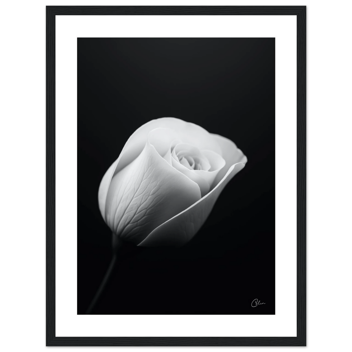 dc728e5d-bcc1-4510-a6ff-5cca248cdc0e