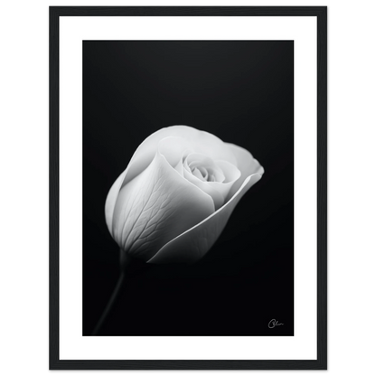 dc728e5d-bcc1-4510-a6ff-5cca248cdc0e