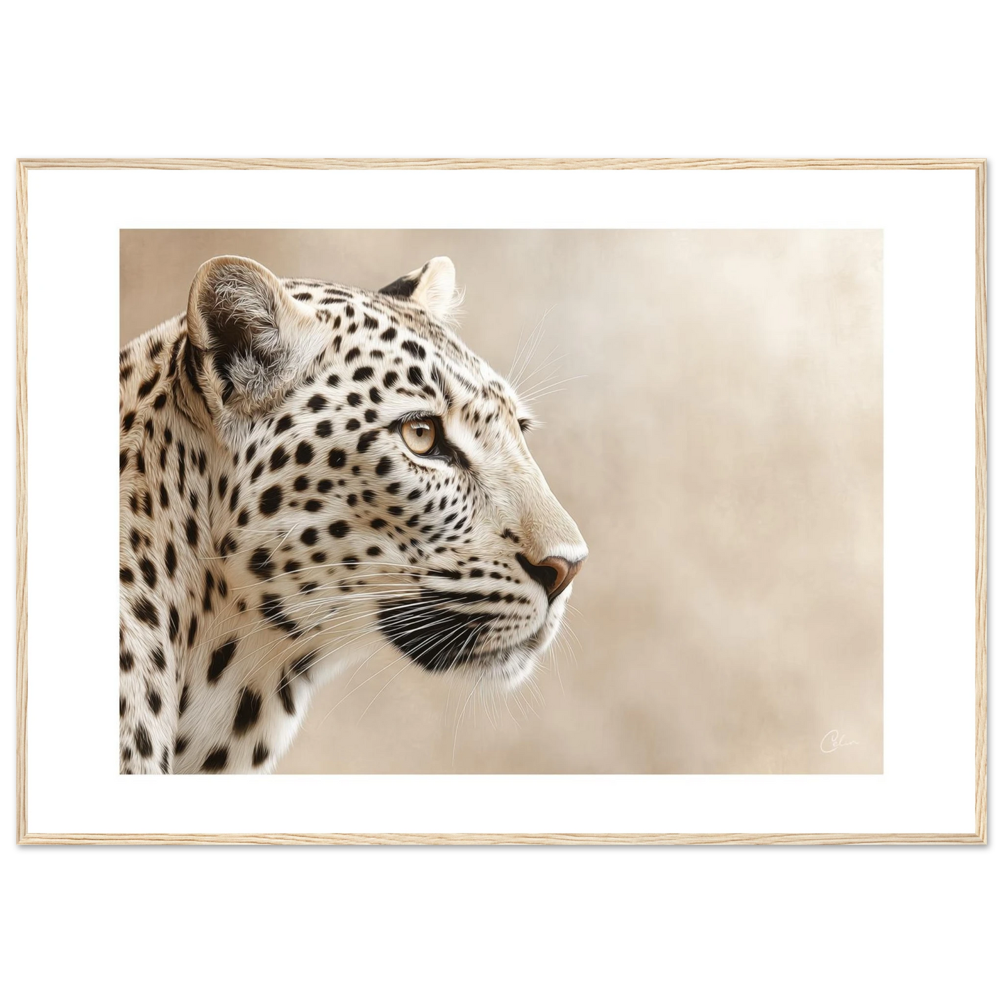 dc8d3797-f6f1-4eec-8c7d-0175c8500a4d