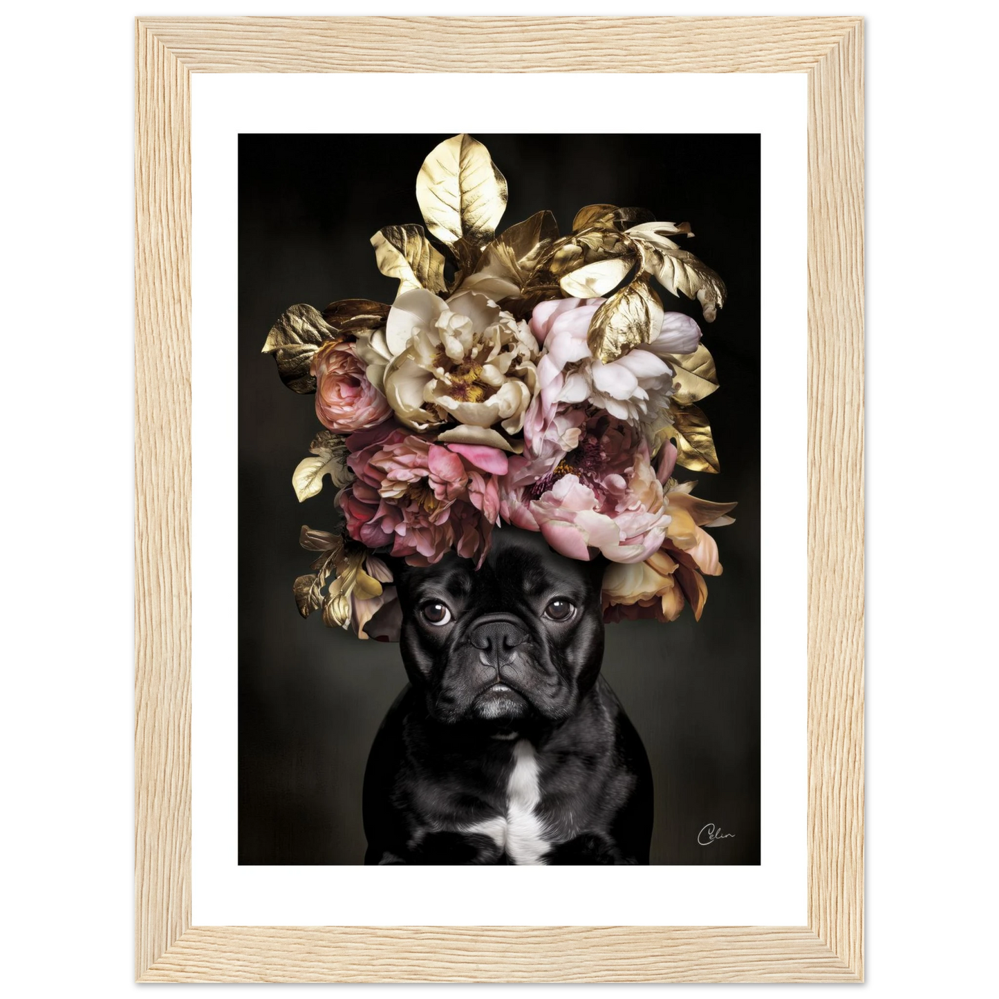 dce278bc-ec7d-4ad4-83cb-2945f2ea4dbc