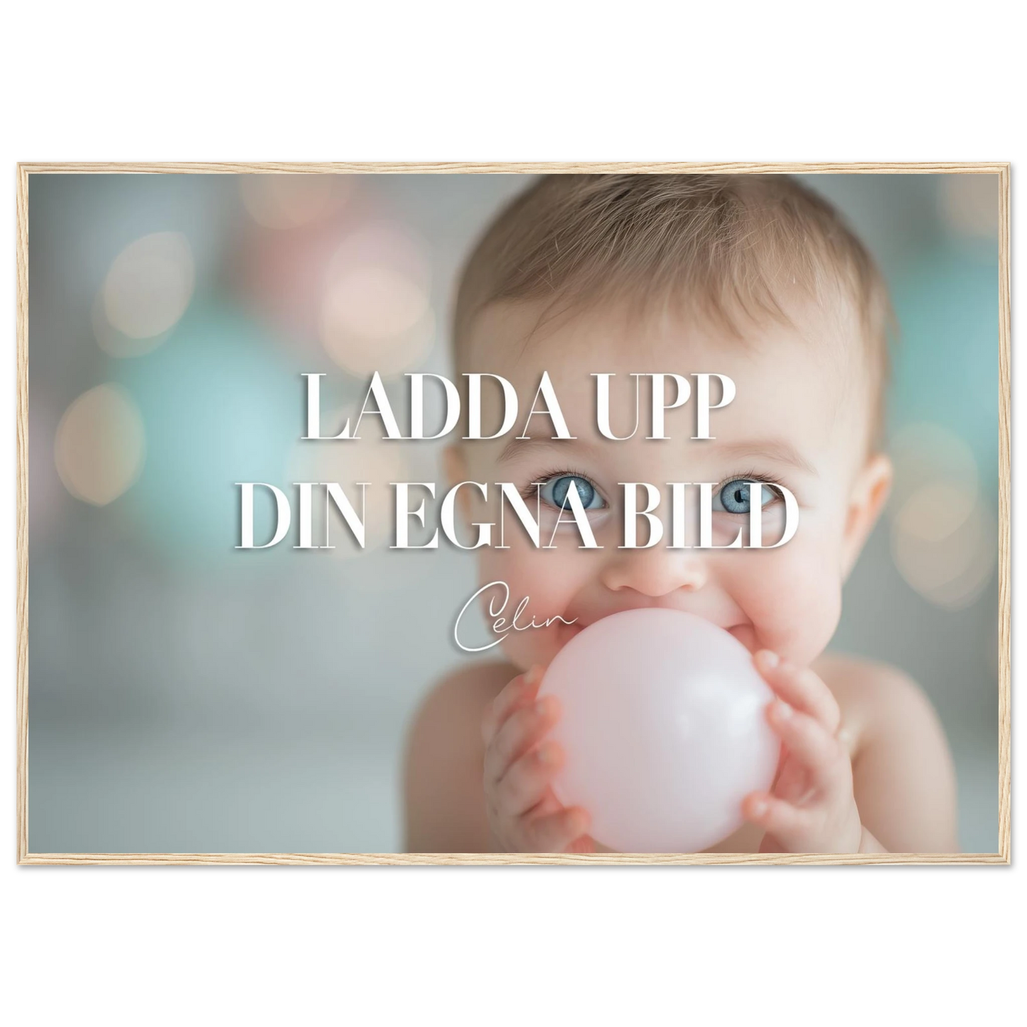 e1763f9c-5b37-4f3d-bea3-0167cdca0bd5