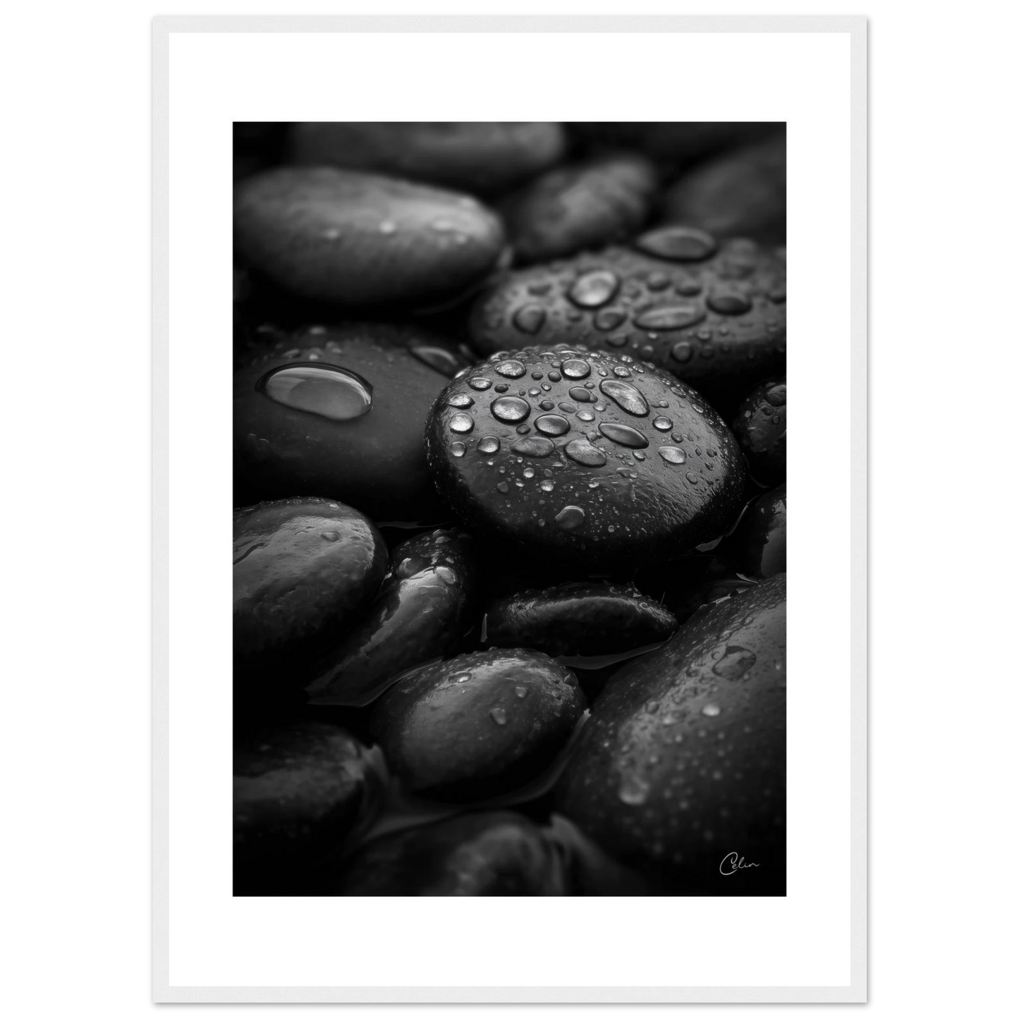 e778ca4d-4f16-4e04-b32c-81f4b63a78b9