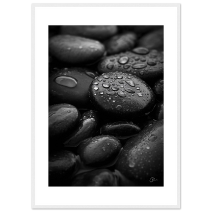 e778ca4d-4f16-4e04-b32c-81f4b63a78b9