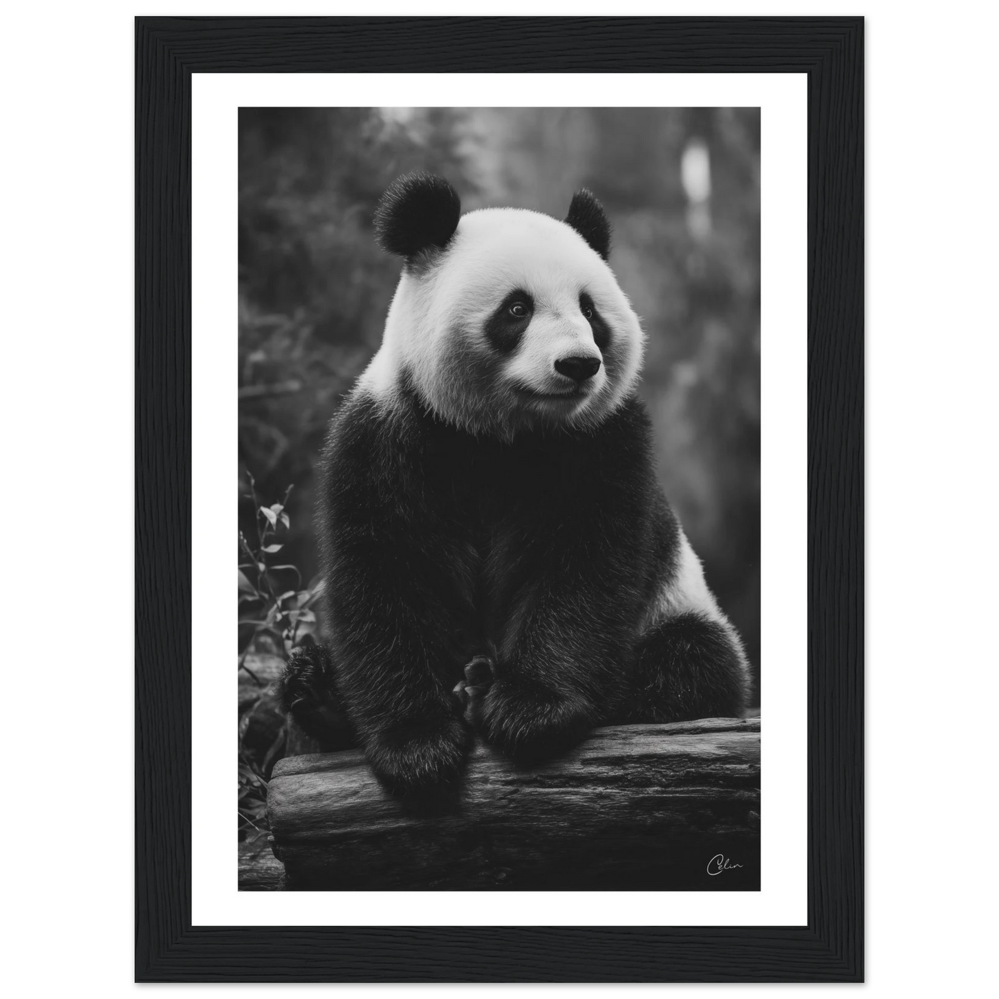e80b8116-3e1c-41cd-b22a-298c8ec1f658