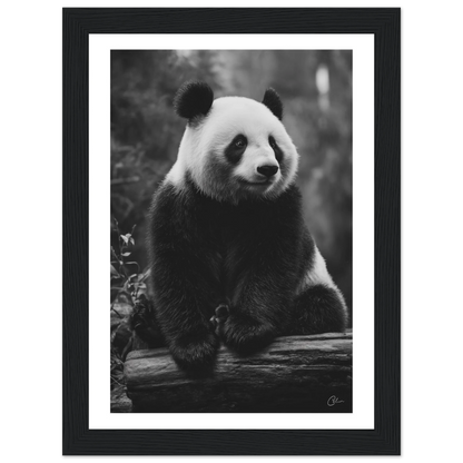 e80b8116-3e1c-41cd-b22a-298c8ec1f658