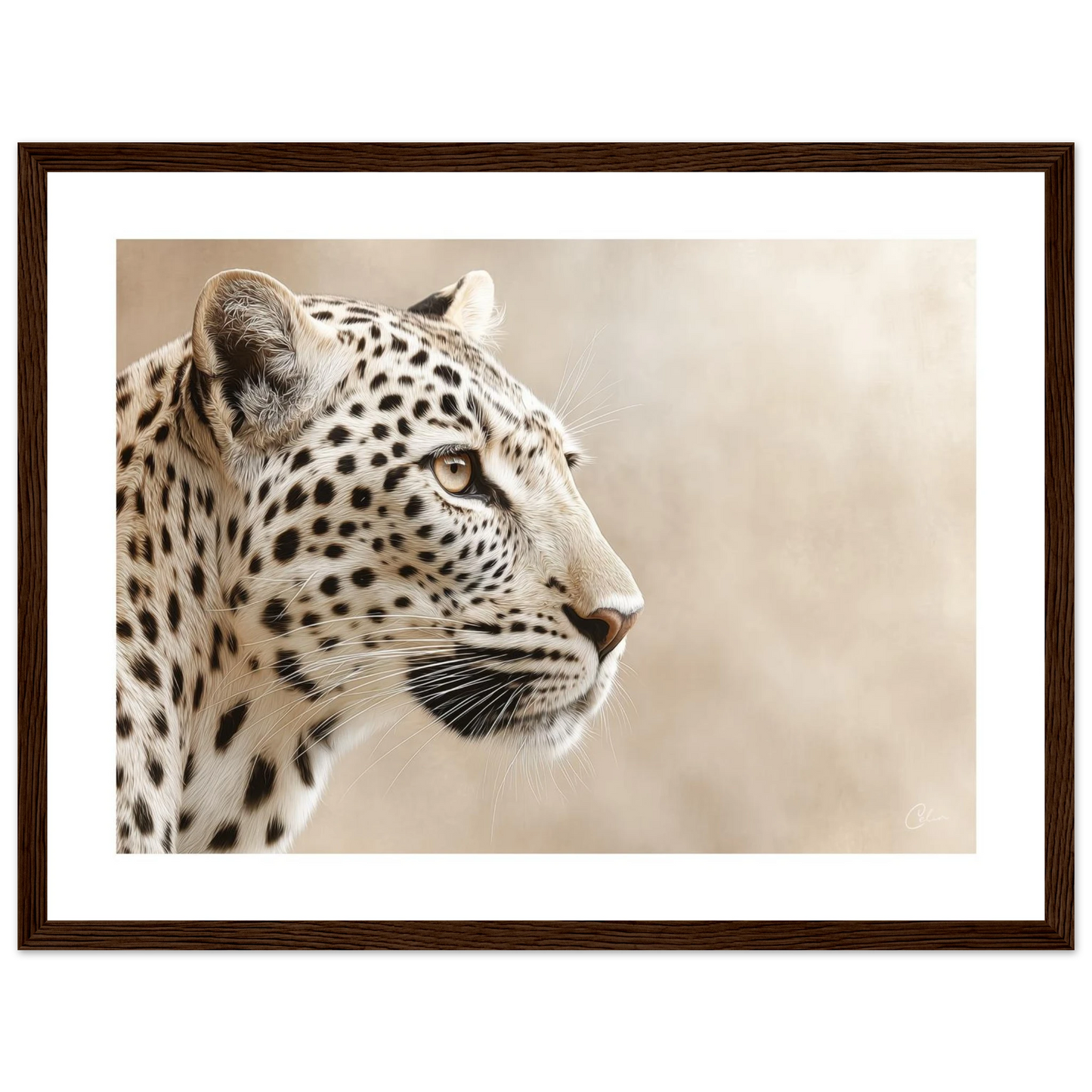 e8b87526-c0a4-4099-9b49-fa9d5c274270