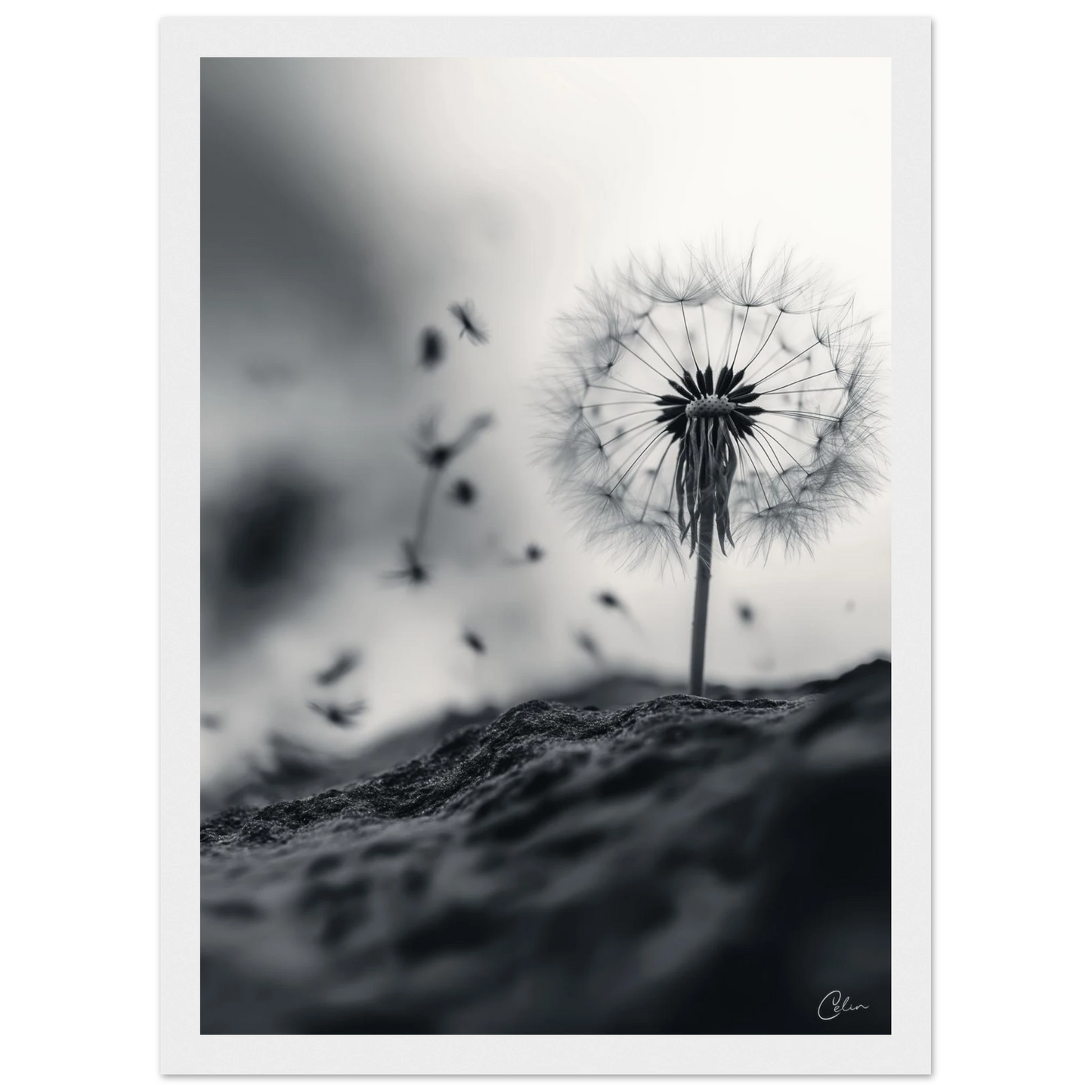 e9ce4917-087b-429c-889e-75cd449a6273