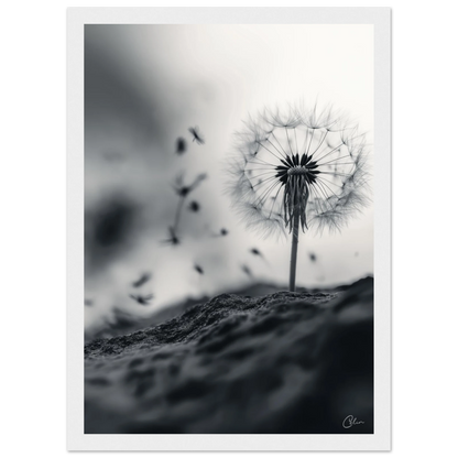 e9ce4917-087b-429c-889e-75cd449a6273