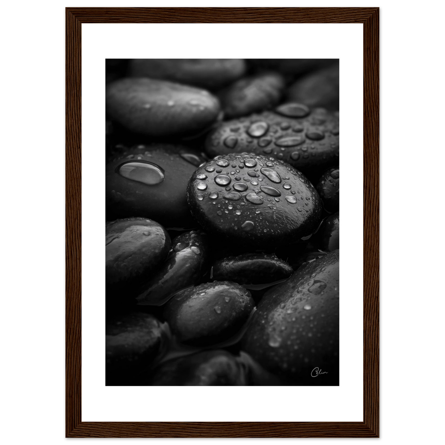 e9d13a15-027e-4bcf-a082-d53bba6fd11e