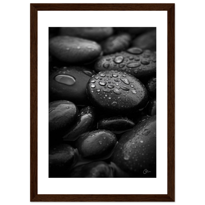 e9d13a15-027e-4bcf-a082-d53bba6fd11e