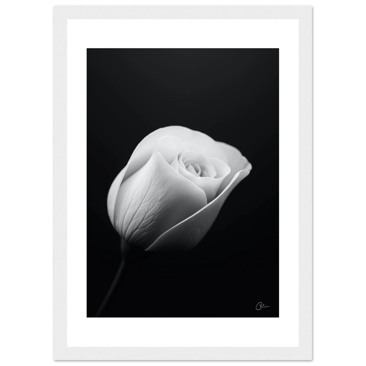 ec16ab5b-2604-47a4-ad1c-4de7b11d873d