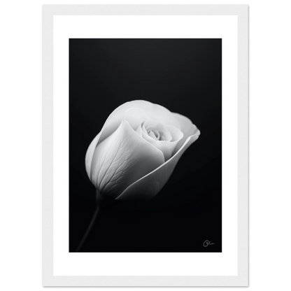 ec16ab5b-2604-47a4-ad1c-4de7b11d873d