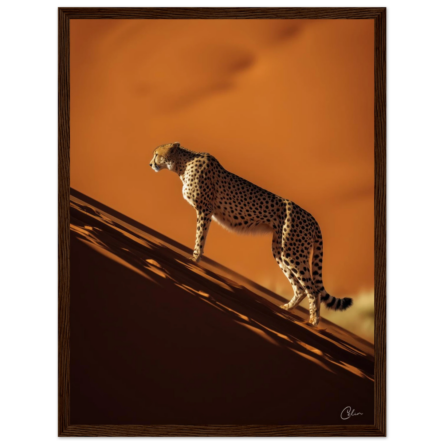 eca00a09-c031-4385-a6d8-b5c76df4757a