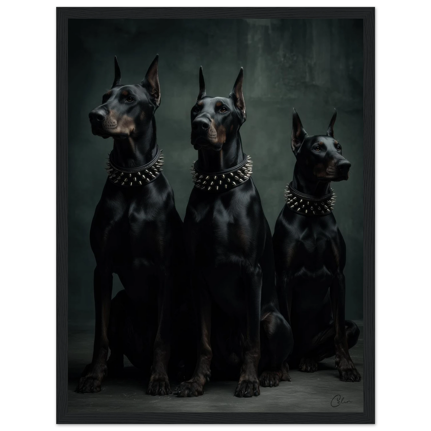 edd6a017-6e58-4d9e-baa9-01f302f07792