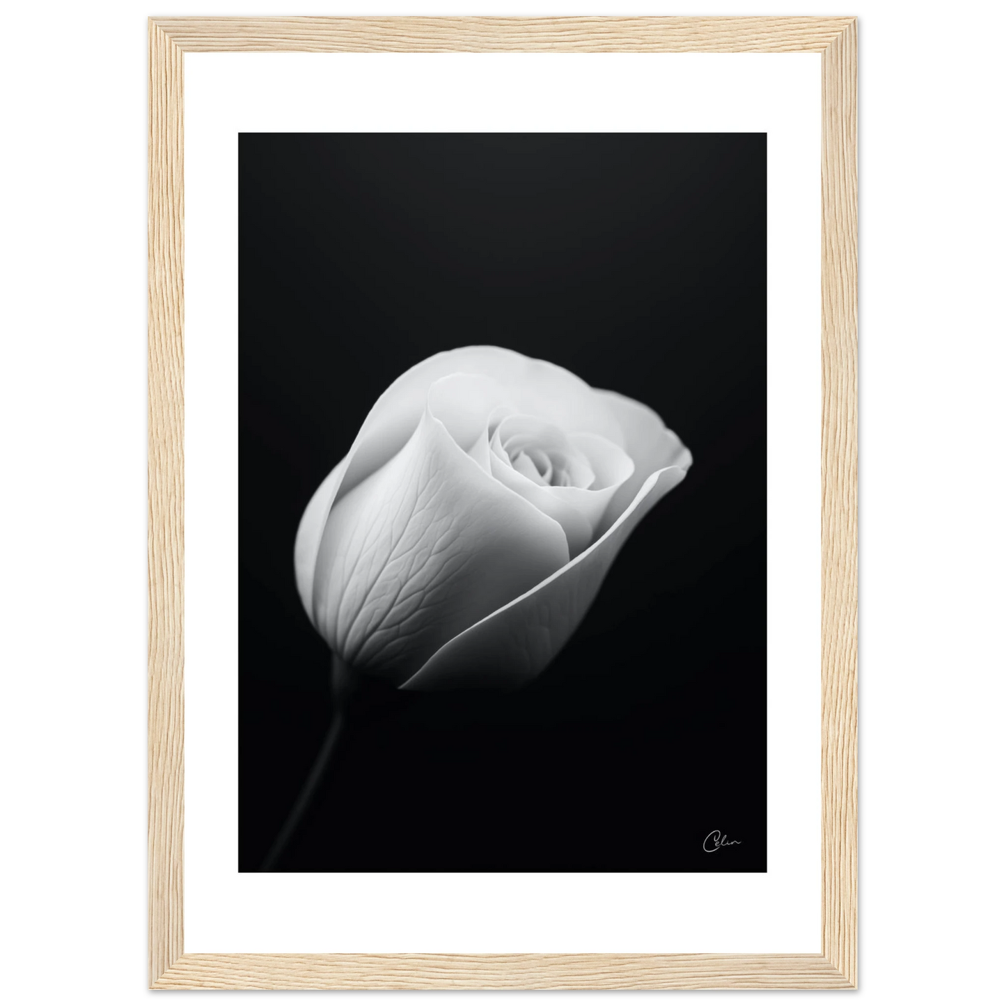 ef461c39-004f-4a99-b820-ec7d9e51da38