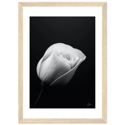 ef461c39-004f-4a99-b820-ec7d9e51da38