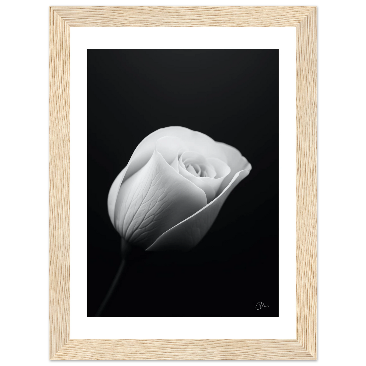 f1fabb37-35a1-4f0d-94b8-8ceca02d1bb0