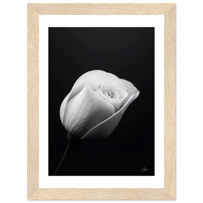 f1fabb37-35a1-4f0d-94b8-8ceca02d1bb0