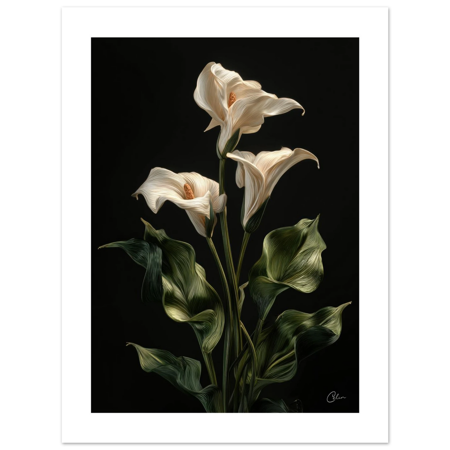 f27d118f-c2ef-4beb-9b0d-0afc3c8ceffc