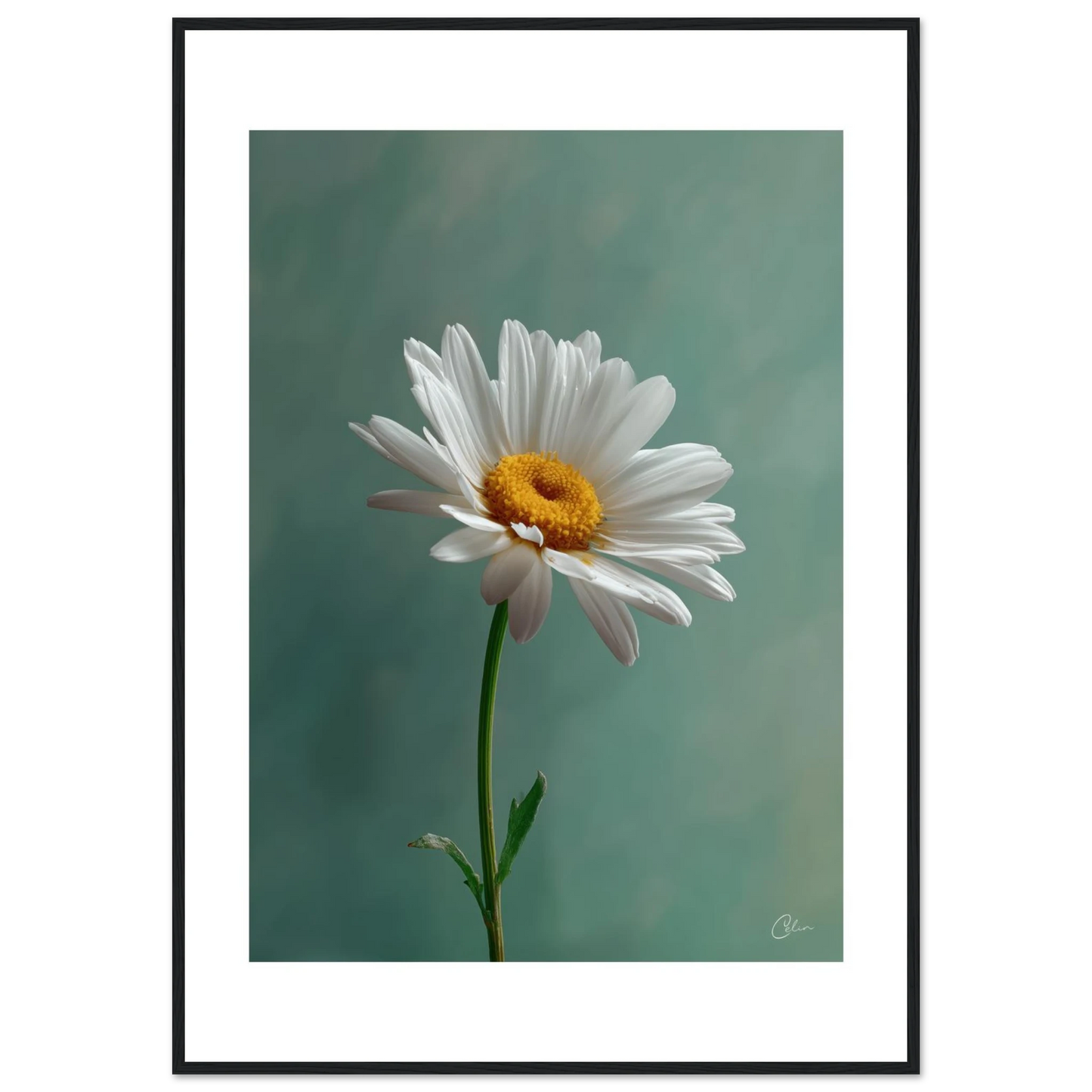 f4298118-b97d-458b-8d8f-eb6b8f79c317