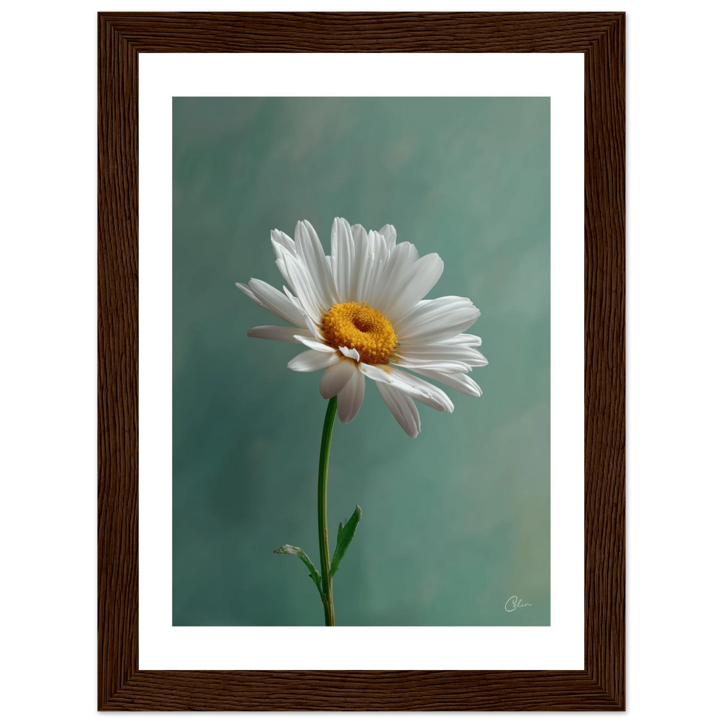 f6c26539-9ab3-485b-98a1-926ec9da2601