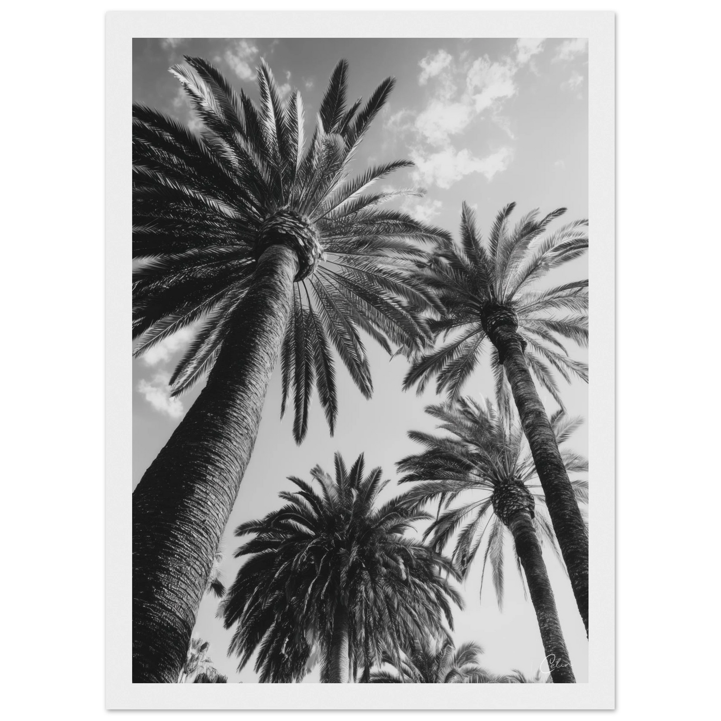 f7419f8e-e046-43ad-ab9b-40067a78ea91