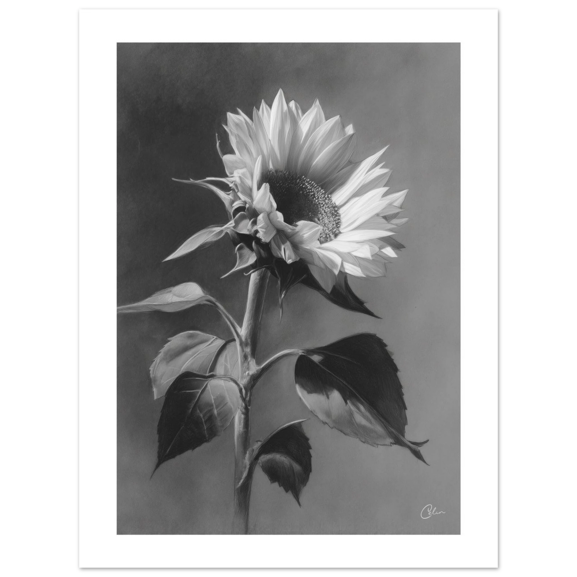 f8a88d6f-62c6-43da-9c1e-a0217f9d94ef